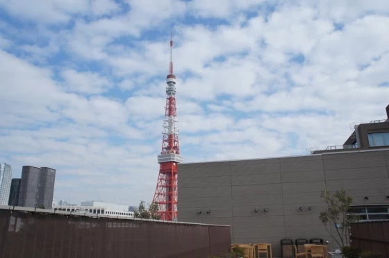 屋上から見える東京タワーはド迫力！近い！