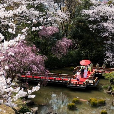 春になったらぜひ行きたい 東京都内で桜が自慢の結婚式場5選
