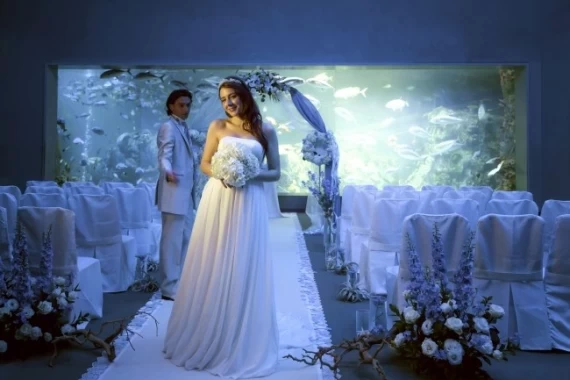 海の中のような幻想的な結婚式ができる 三重県の鳥羽水族館での挙式プラン
