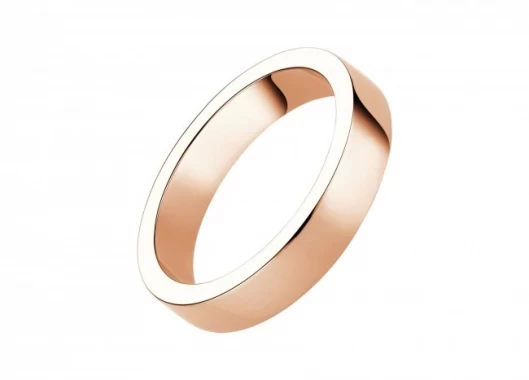 マリー・ミー マリッジリング PG 100,000円