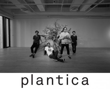 「リゾ婚café」のメインオブジェを担当するフラワー・アートユニット「plantica(プランティカ)」