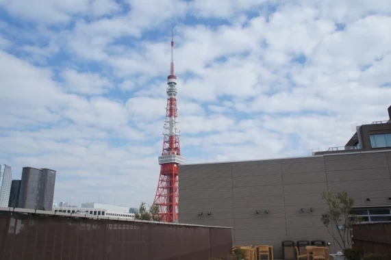 屋上から見える東京タワーはド迫力！近い！