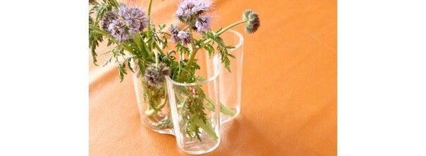 イッタラ アルヴァアアルト コレクション フラワーベース 12cm (iittala alver aalto collection flower vase)
価格：8,780円
