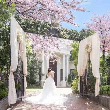 春になったらぜひ行きたい 東京都内で桜が自慢の結婚式場5選