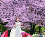 【ホテルニューオータニ（東京）】桜を眺めながら結婚準備が進むプレミアムフェアが3月21日（日）開催！