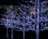 【2016年クリスマスイルミネーション】新宿・渋谷・表参道・代官山のおすすめスポット10選