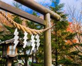 【デートにも◎】初詣に行きたい東京とその周辺の神社9選