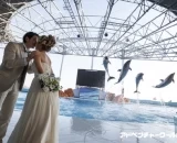 動物たちに見守られて結婚式！アドベンチャーワールドの"ハッピーウエディングプラン"