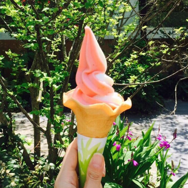 真夏日のデザートに食べたいソフトクリーム 東京都内のマストで食べたい人気ソフト6選