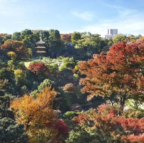 ホテル椿山荘東京には、135年の歴史ある広大な庭園があります。記念に残る写真撮影をしましょう。