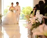 加藤あいの結婚式♡会場は？【話題の芸能人の結婚式】