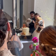 愛犬と楽しむ結婚式のケーキバイト