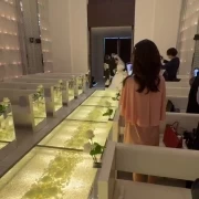 華麗なるバージンロードの瞬間