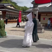 憧れの白無垢を着ることができ、嬉しい限りです。母も綿帽子もしてくれたのと喜んでくれました❣️