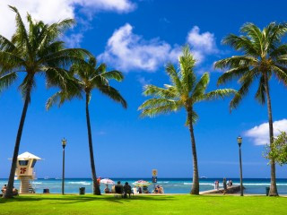 ハワイ挙式を叶えるなら…知っておきたい! ハワイの四季とお得な時期★