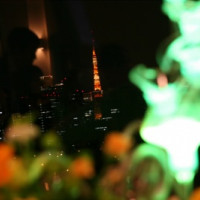 夜になると東京タワーがほんのり。
