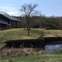 公園から見える披露宴会場