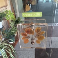 本館入り口のドアノブ。植物園らしく素敵でした