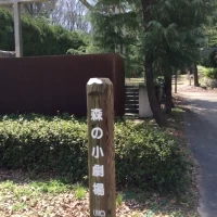 結婚式のできる森の小劇場入り口。