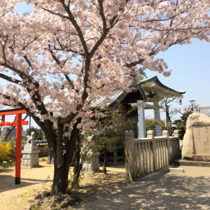 神社境内|128244さんの柿本神社の写真(124081)