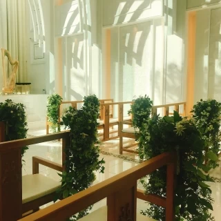 緑の植物に囲まれています。