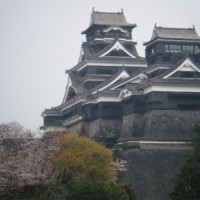 熊本城もバッチリ見える！桜もキレイでした♪