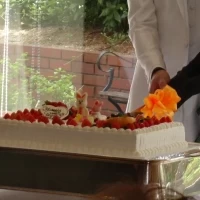 高砂におかれたケーキ。バックは全面ガラス張りでお庭の緑が。