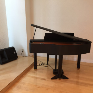 電子ピアノ|162389さんのル・クロ・ド・マリアージュの写真(408921)