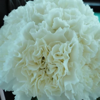 ベンチの装花