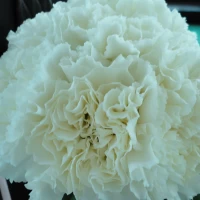 ベンチの装花