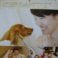 “Ｗｅｄｄｉｎｇ　Ｗｉｔｈ　Ｐｅｔ”リーフレット（表）