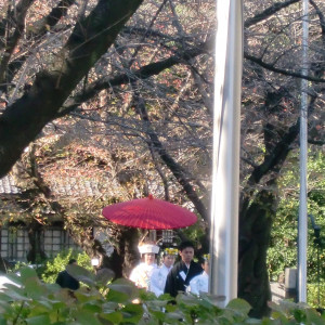 花嫁・婿が遠くから歩いてきます。内掛けと白袴に傘って新鮮★|179643さんの愛知縣護國神社 （愛知県護国神社）の写真(8064)