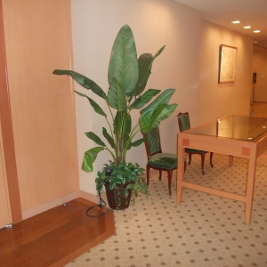 廊下の受付|262491さんの新大阪江坂 東急REIホテルの写真(27951)