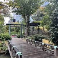 庭園