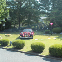 メインロビー前の植栽と、展示されていた車