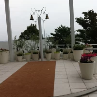 フラワーシャワーを行う