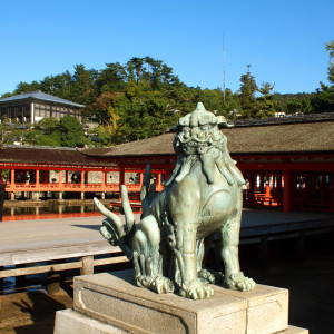 狛犬が見守るなか、無事に式は終わったようです。|327821さんの厳島神社の写真(11504)