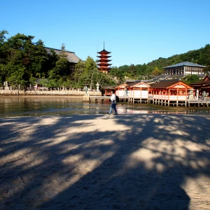 本殿の周りに砂浜にはきれいな貝殻がたくさんありました！|327821さんの厳島神社の写真(11510)