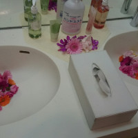 お花が可愛らしく清潔なお手洗いです
