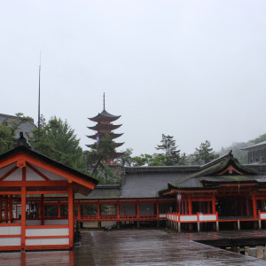 晴れていれば親族記念撮影場所|337624さんの厳島神社の写真(22200)
