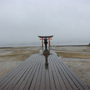 晴れていれば記念撮影|337624さんの厳島神社の写真(22199)