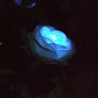 キャンドルサービスではLEDの花を装花に挿していました