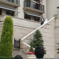 宿泊客の方たちからも祝福の声が！