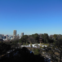 空中庭園　冬の晴れた日でしたので富士山がみえました。