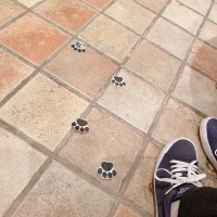 犬猫好きなので本当に嬉しかったです。即興で貼ってくれました。