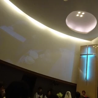 スクリーンに映し出される様子