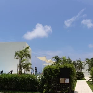 料理もおいしく値段もお手頃そうです|346574さんのカフー リゾート フチャク コンド・ホテルの写真(33214)