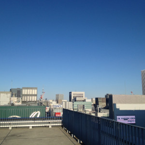 屋上テラスからの眺望。スカイツリーが見えます。|350081さんのザ マグナス 東京（THE MAGNUS TOKYO)の写真(58473)