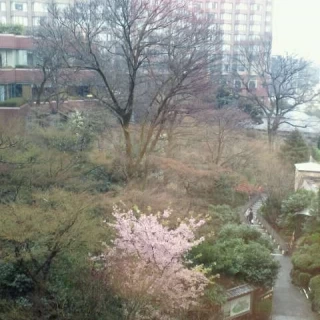 椿山荘の庭園