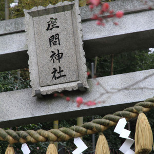 神社鳥居|351599さんの座間神社 神社会館すいめいの写真(43341)